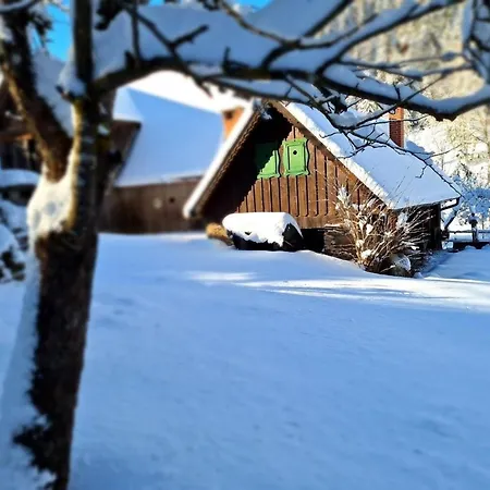 Vakantiehuis Muehlsteinhuette Bad Sankt Leonhard im Lavanttal