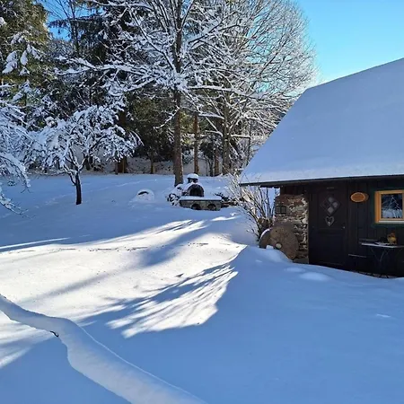 Muehlsteinhuette * Bad Sankt Leonhard im Lavanttal