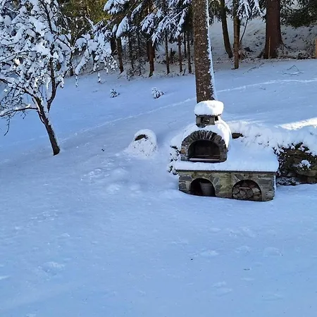 Muehlsteinhuette Gorlitzen