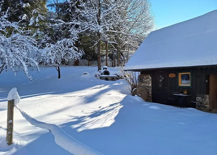 Muehlsteinhuette * Gorlitzen