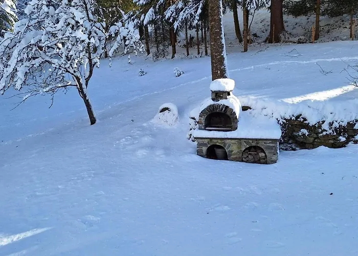 Muehlsteinhuette Gorlitzen